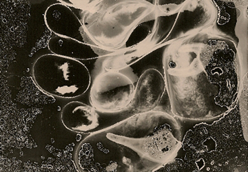 Photogramme « Cartographie des nuages » de Stéphanie Robert