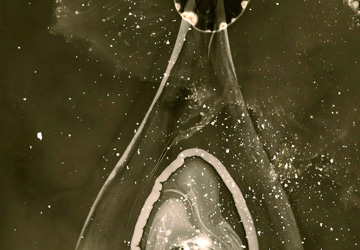 Photogramme « Maternité étoilée » de Stéphanie Robert